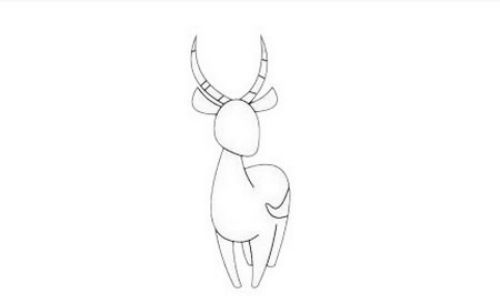 简单又可爱的藏羚羊简笔画绘制教程 卡通藏羚羊简笔画怎么画好看