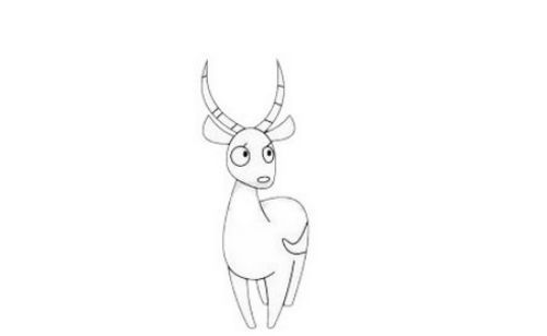 简单又可爱的藏羚羊简笔画绘制教程 卡通藏羚羊简笔画怎么画好看