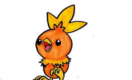 卡通带颜色的火稚鸡的简笔画教程 可爱的火稚鸡的简笔画步骤