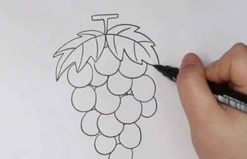 晶莹又好看的彩色葡萄简笔画教程 带颜色的葡萄简笔画怎么画