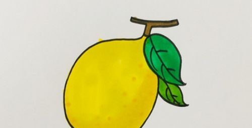 带颜色的好看柠檬简笔画教程 卡通可爱的柠檬简笔画怎么画