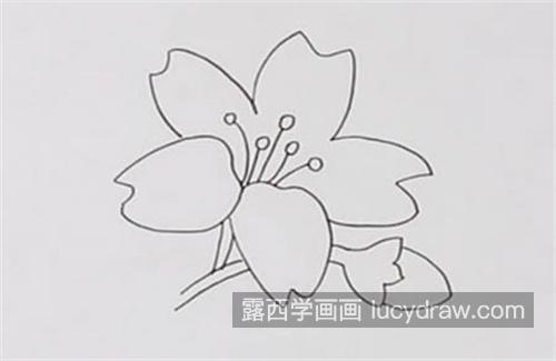 漂亮可爱的小黄花简笔画怎么画 好看简单的花朵简笔画绘制教程