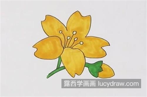 漂亮可爱的小黄花简笔画怎么画 好看简单的花朵简笔画绘制教程