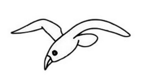 简单带颜色的海鸥简笔画怎么画 卡通简单海鸥简笔画带步骤