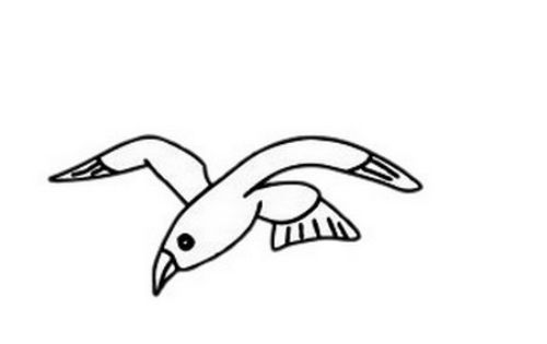 简单带颜色的海鸥简笔画怎么画 卡通简单海鸥简笔画带步骤