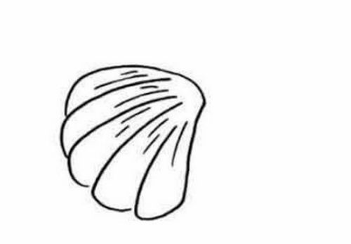 彩色好看的贝壳简笔画绘制教程 好看又漂亮的贝壳简笔画怎么画