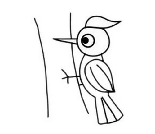 彩色啄木鸟简笔画教程 好看卡通的啄木鸟简笔画教程