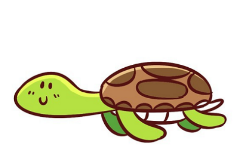 带颜色的海龟简笔画教程画法 彩色好看的海龟简笔画怎么画