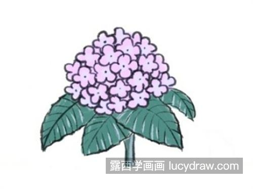 漂亮彩色的花朵怎么画 带颜色的花朵简笔画教程