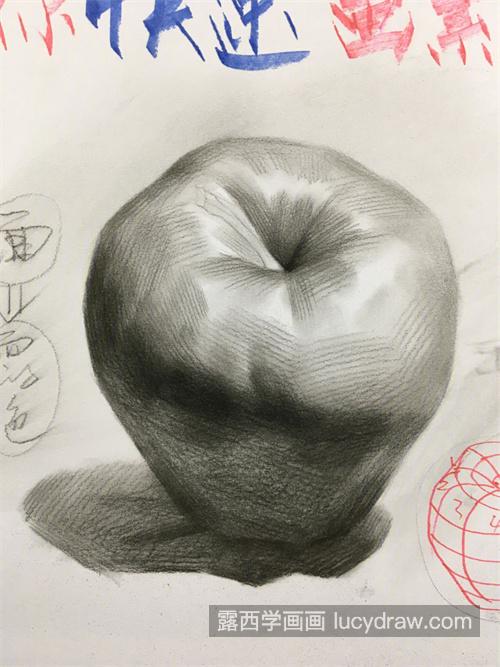 新手怎样绘制素描苹果 素描苹果的绘制教程