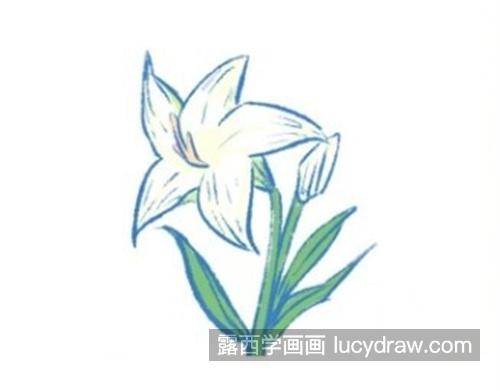 好看漂亮的百合花怎么画好看 带颜色的百合花绘制教程