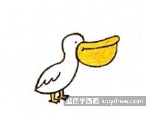 带颜色的鹈鹕简笔画怎么画简单 好看又漂亮的鹈鹕简笔画带颜色