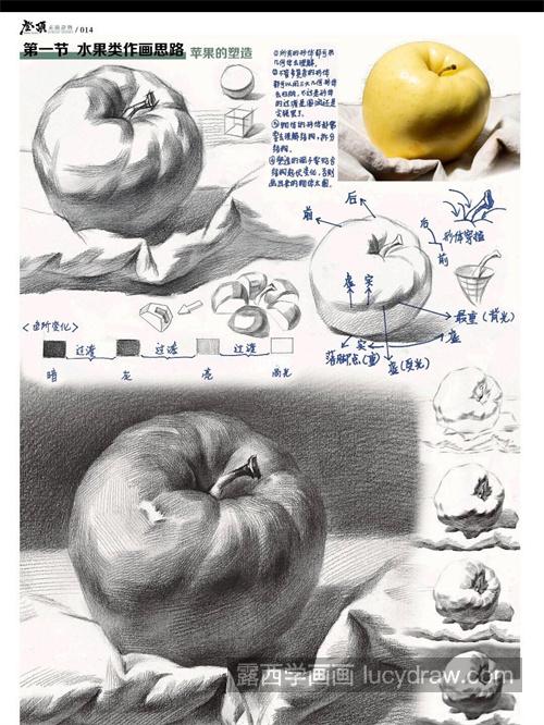 简单的素描苹果的绘制教程 新手怎样学习素描苹果