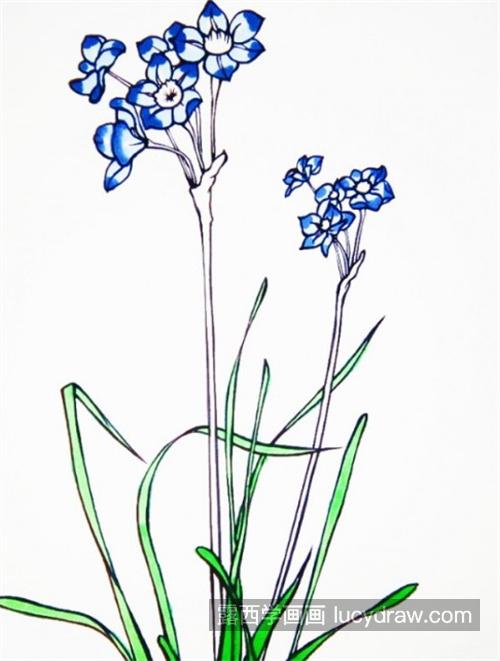 好看又很漂亮的水仙花简笔画怎么画 带颜色的好看水仙花绘制教程