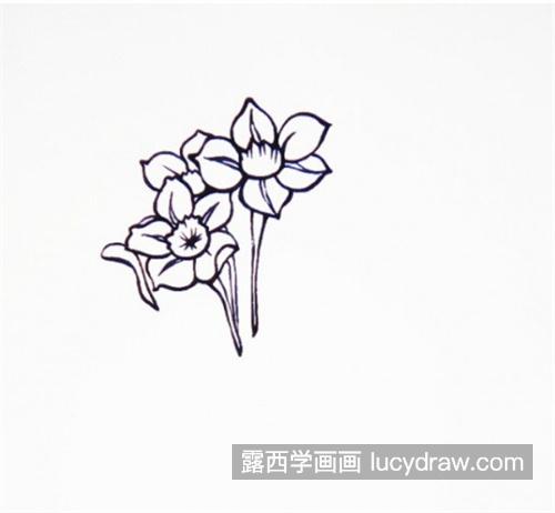 好看又很漂亮的水仙花简笔画怎么画 带颜色的好看水仙花绘制教程
