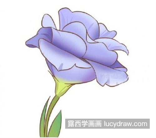 好看又漂亮的小丽花简笔画怎么画 彩色唯美的小丽花简笔画带颜色