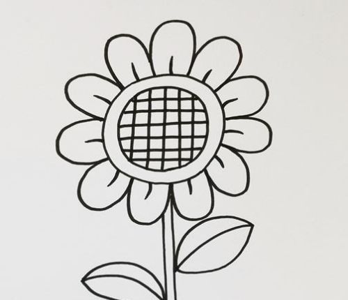 阳光积极的向日葵简笔画怎么画 好看的向日葵绘制教程