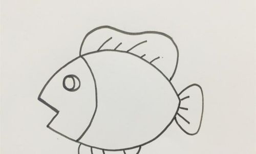 带颜色的小鱼简笔画绘制教程 自由开心的小鱼简笔画怎么画
