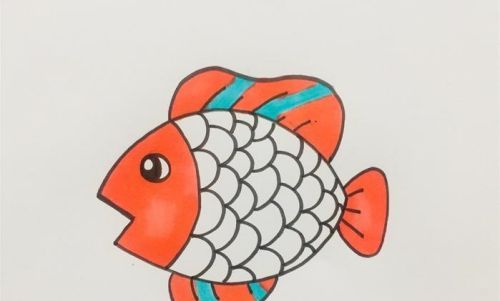 带颜色的小鱼简笔画绘制教程 自由开心的小鱼简笔画怎么画