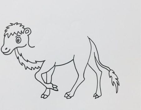 彩色好看的骆驼的简笔画怎么画 简单易学的骆驼的简笔画绘制教程