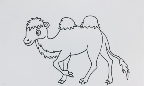 彩色好看的骆驼的简笔画怎么画 简单易学的骆驼的简笔画绘制教程