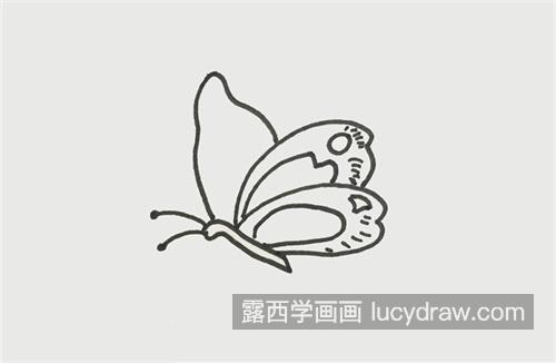 漂亮的蝴蝶简笔画绘制教程 带颜色的蝴蝶怎么画带图