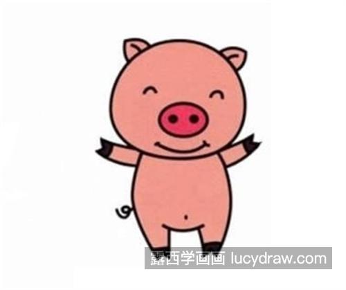 可爱的小猪简笔画带步骤 彩色的小猪绘制教程