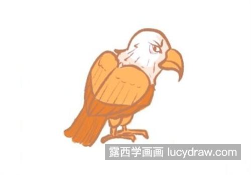 很简单的老鹰简笔画怎么画 彩色的老鹰绘制教程
