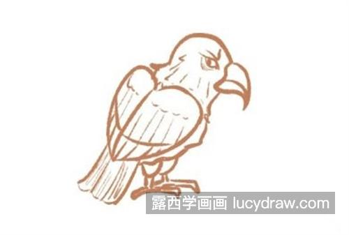 很简单的老鹰简笔画怎么画 彩色的老鹰绘制教程