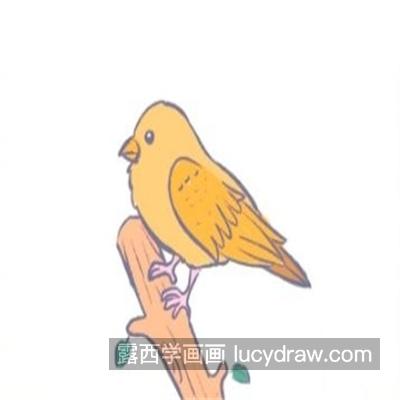灵动的小鸟简笔画怎么画 好看的小鸟绘制教程
