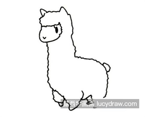 卡通可爱的小绵羊简笔画怎么画 有趣的小绵羊绘制教程