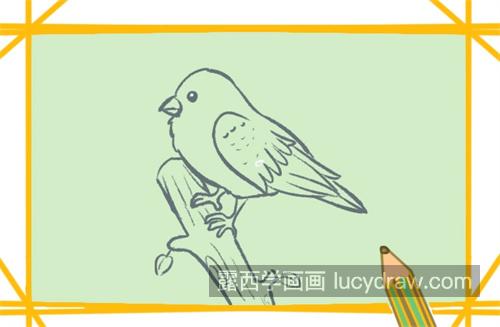 简单又好看小鸟的简笔画怎么画 简单又漂亮小鸟简笔画带步骤画法