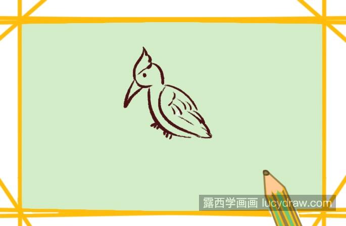 简单又好看啄木鸟的简笔画画法 带颜色好看啄木鸟简笔画怎么画
