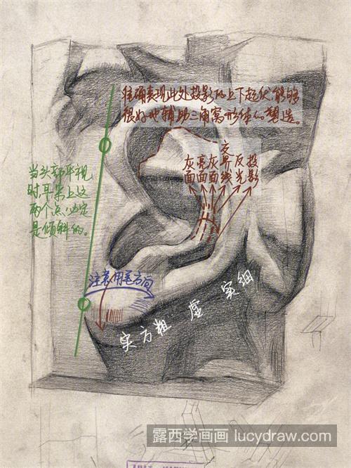 素描石膏五官完全教程详解 塑造素描石膏五官分析图