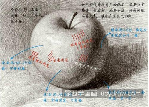 素描零基础教学画苹果怎么画 素描静物绘画苹果画法教程