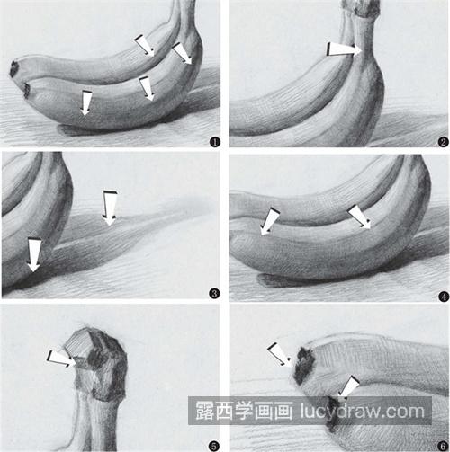 素描教学水果的作画步骤 集训美术生常见的蔬菜水果结构剖析