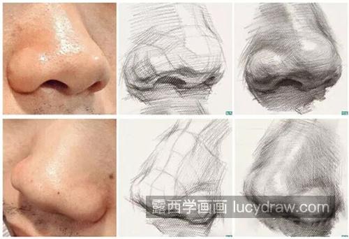 超详细素描五官之鼻子的画法全解析 素描鼻子的画法最全解析