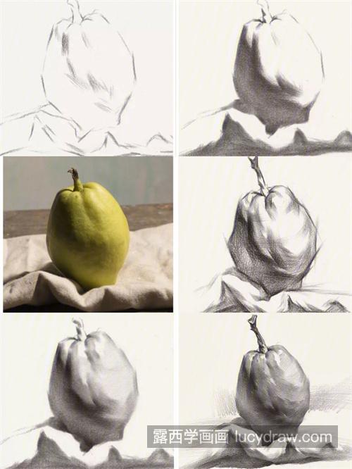 素描静物单个塑造多角度梨的练习 静物素描水果篇梨的画法