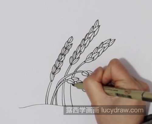 可爱小麦丰收简笔画画法教学 简单又好看成熟小麦怎么画