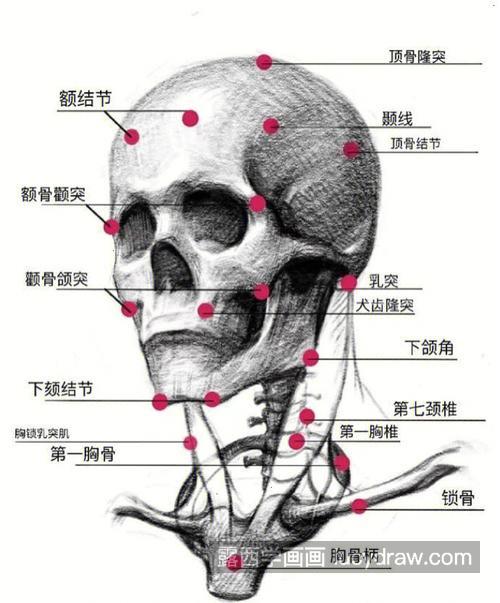 名师教你画头像素描必须技法 美术生素描头像超全高分重点