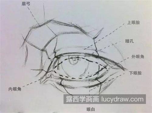 美术专业干货素描眼睛画法大全 素描人物五官中的眼睛画法