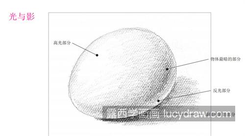 零基础都要学的素描投影规律 如何画素描物体的投影