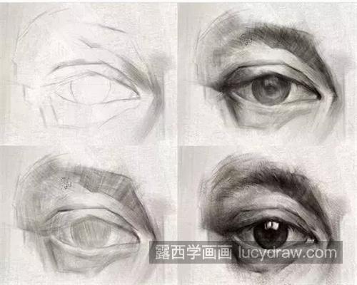 各种眼睛素描绘画技法教科书般的教程 超详细的素描眼睛新手入门教程