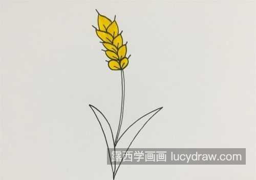 超级简单小麦简笔画画法教程 简单又好看小麦简笔画教学