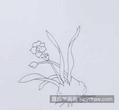 简单带颜色的水仙花简笔画图片大全 又好看又简单水仙花简笔画怎么画