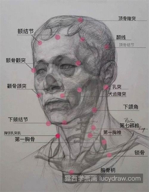 素描头像起形超全头像步骤及解析 素描人物头像如何准确起形