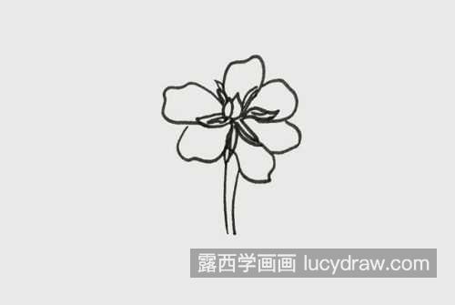 带颜色栀子花简笔画图片大全 简单漂亮栀子花简笔画教程