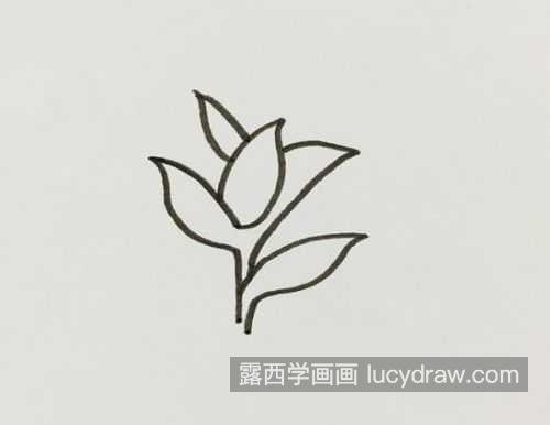 彩色可爱茶叶树简笔画图片大全 好看又漂亮茶叶树简笔画怎么画