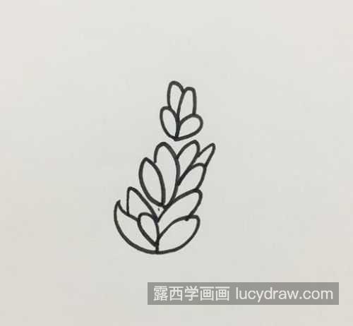 带颜色可爱薰衣草简笔画图片大全 带颜色薰衣草简笔画教程