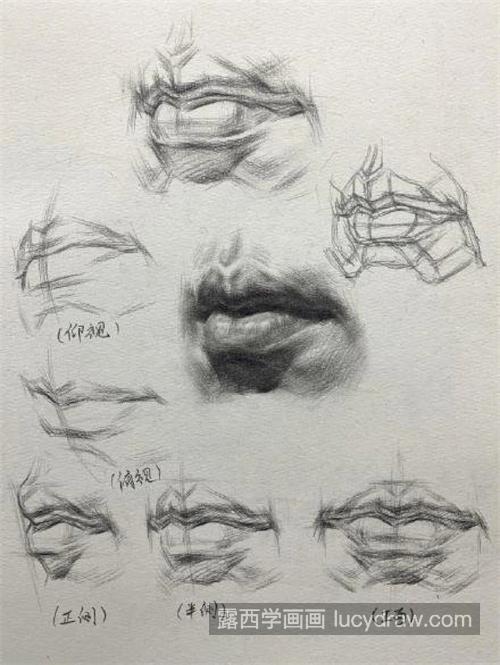 素描五官嘴的结构分析与步骤讲解 超强干货素描嘴巴的刻画